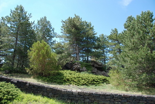 fugio della Galvarina-04-06-2021 11